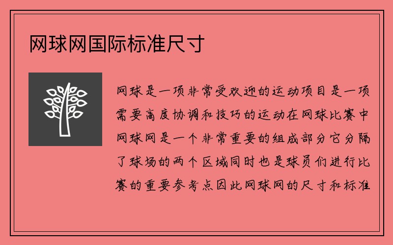 网球网国际标准尺寸