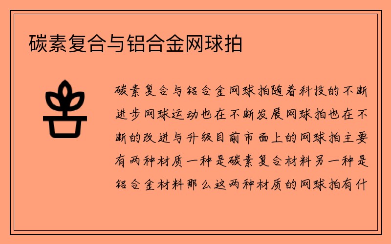 碳素复合与铝合金网球拍