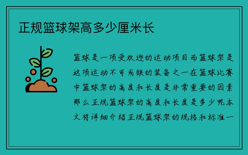 正规篮球架高多少厘米长