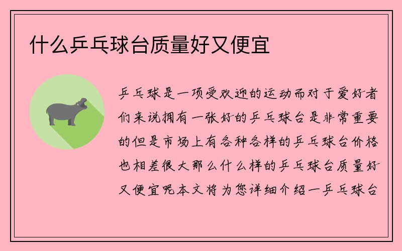 什么乒乓球台质量好又便宜